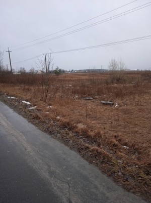 Заліська (пгт. Великая Димерка, Броварской район, Броварський) - Продається сільськогосподарська ділянка, 55000 $ - АФНУ